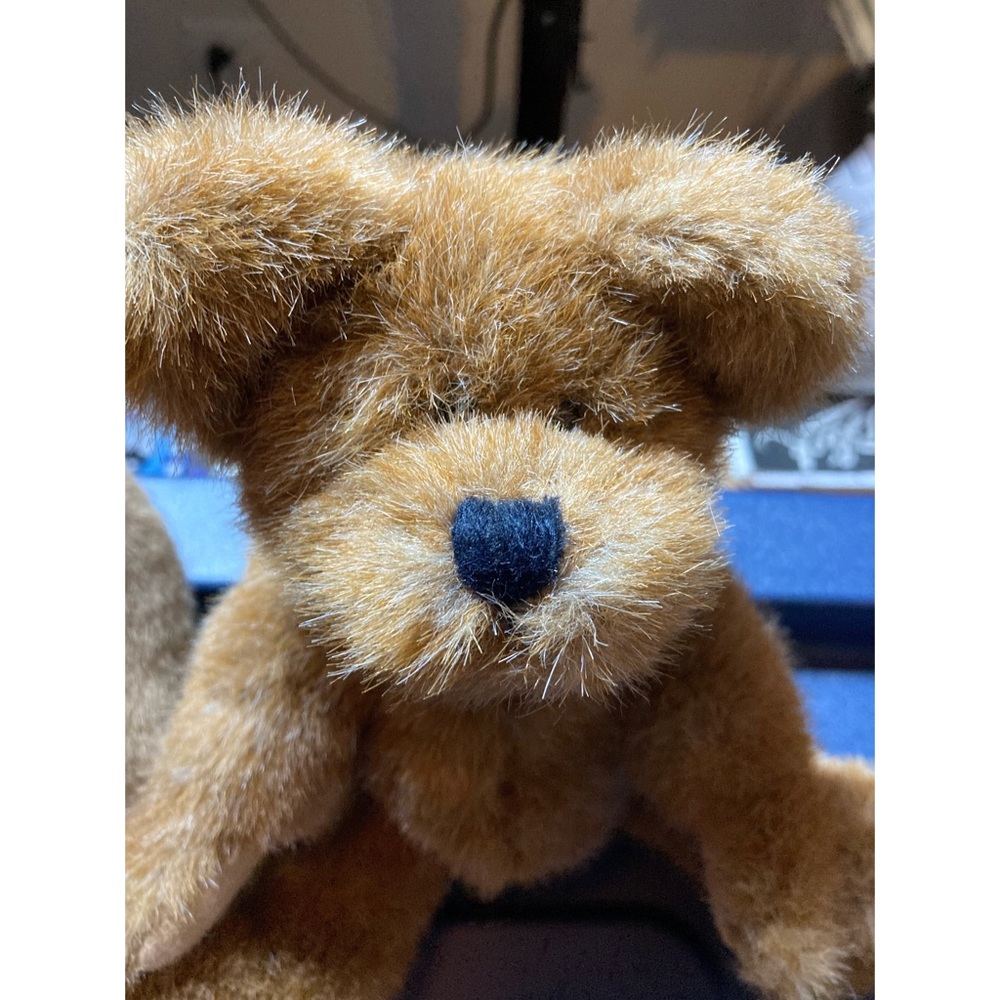Boyd Teddy Bear